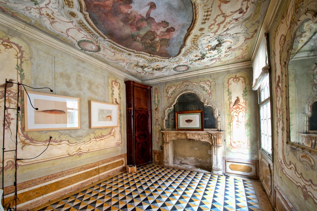 Venise 2013